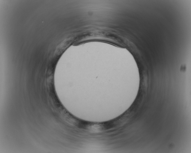 X0000113070513200910091211