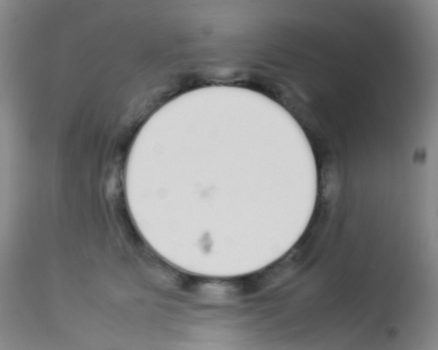 X0000113070515200910091211