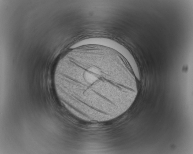 X0000113070516200910091211