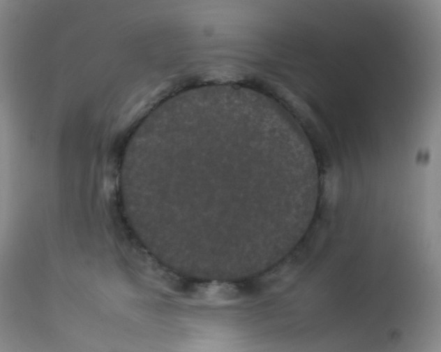 X0000113070517200910091211