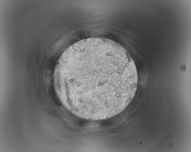 X0000113070519200910091211