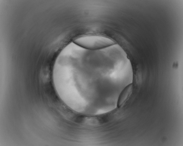X0000113070520200910091211