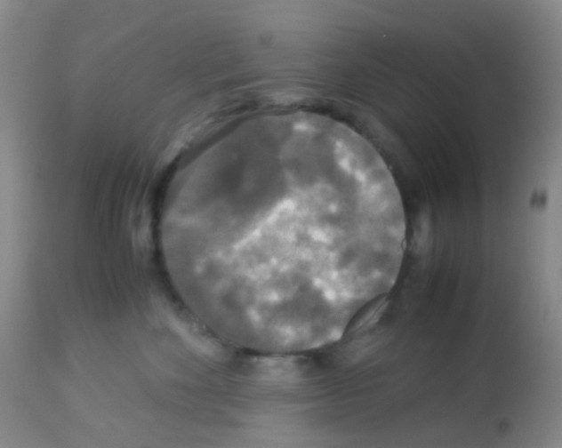 X0000113070524200910091211
