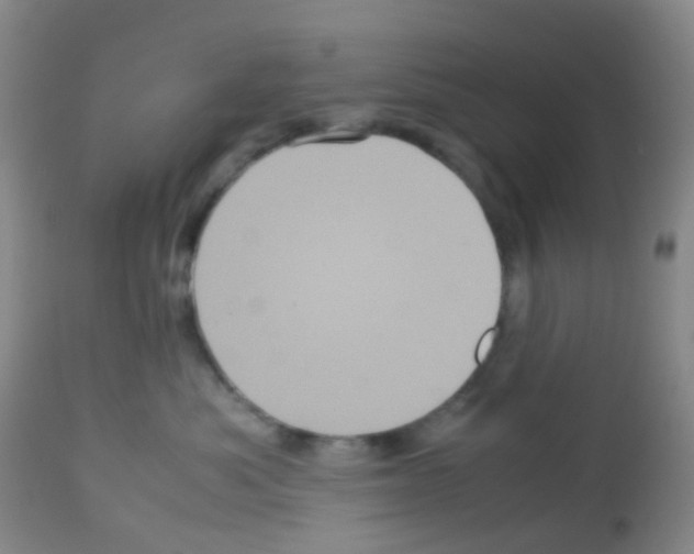 X0000113070525200910091211