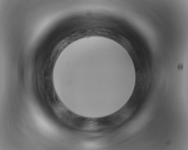 X0000113070526200910091211