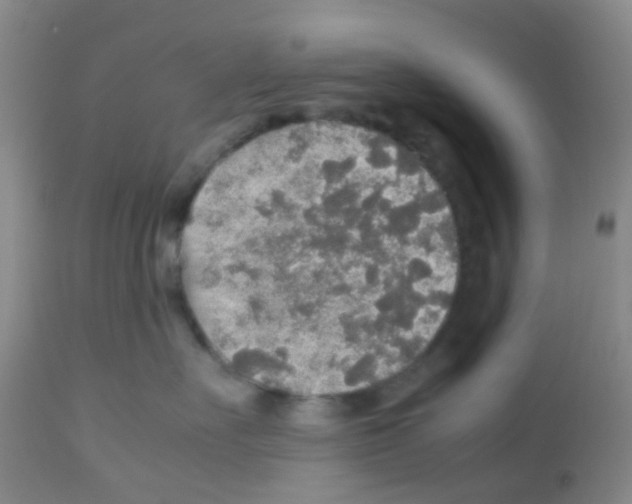 X0000113070527200910091211