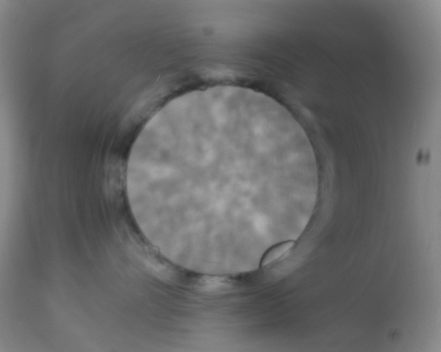 X0000113070528200910091211
