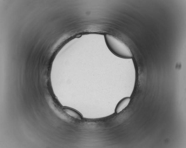 X0000113070530200910091210