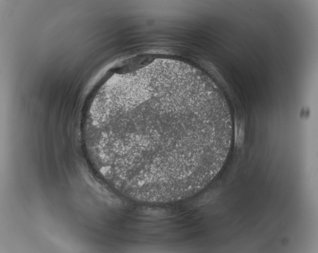 X0000113070531200910091210