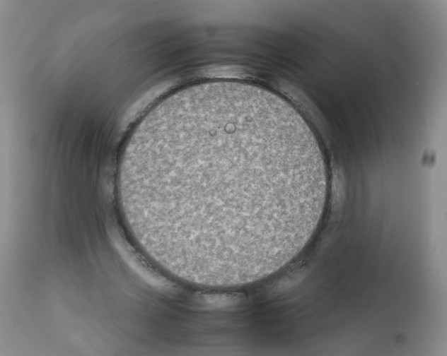 X0000113070533200910091210