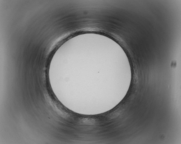X0000113070535200910091210
