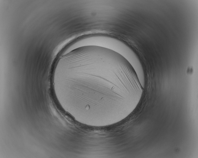 X0000113070536200910091210