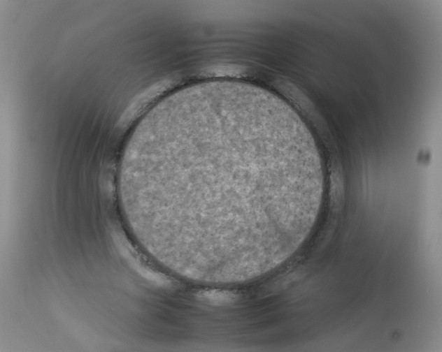 X0000113070537200910091210