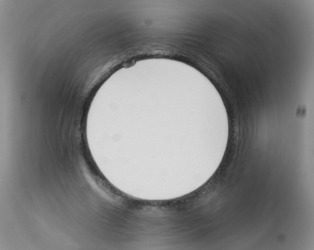 X0000113070538200910091210