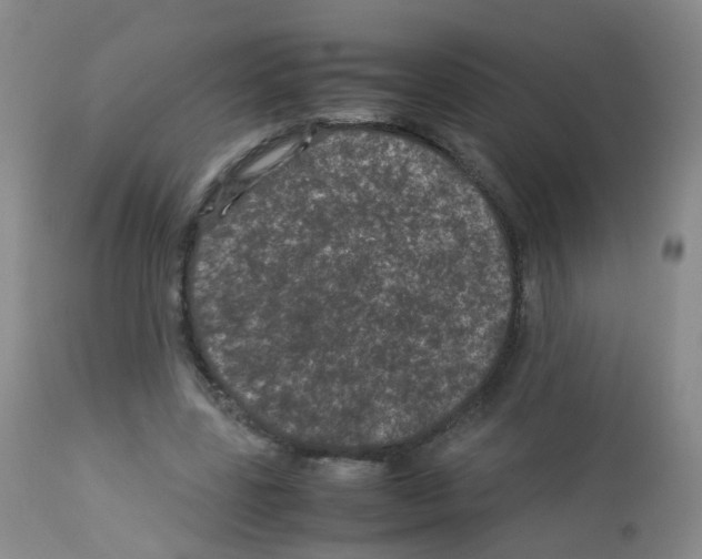 X0000113070539200910091210