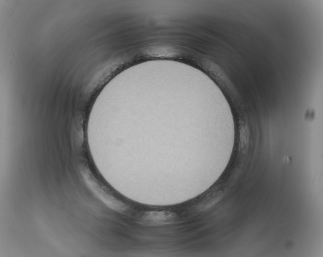 X0000113070541200910091210