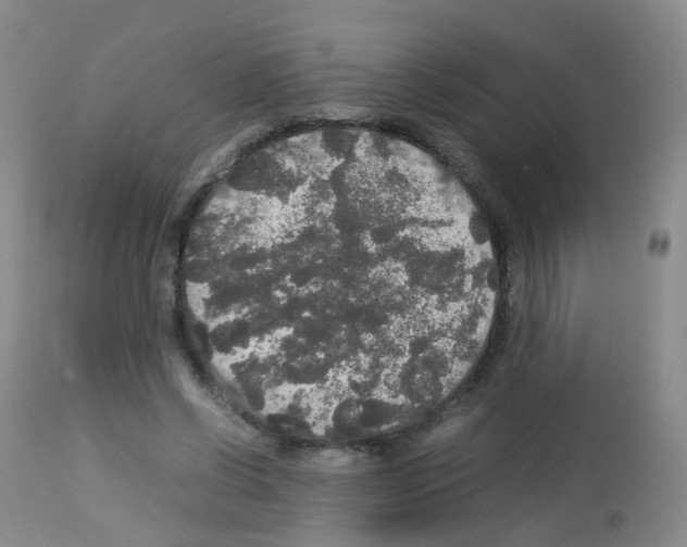 X0000113070542200910091210