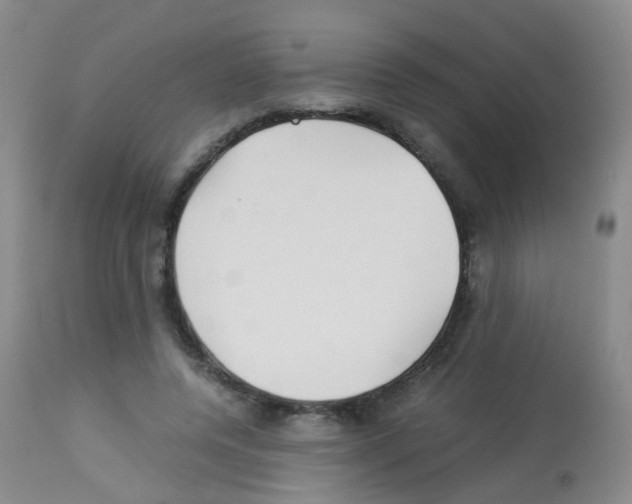 X0000113070544200910091210