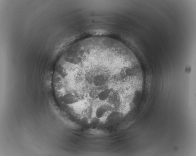 X0000113070545200910091210