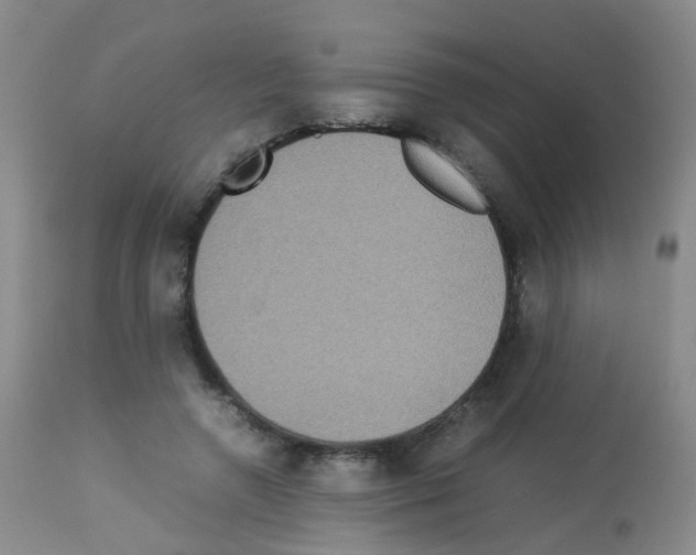 X0000113070546200910091210