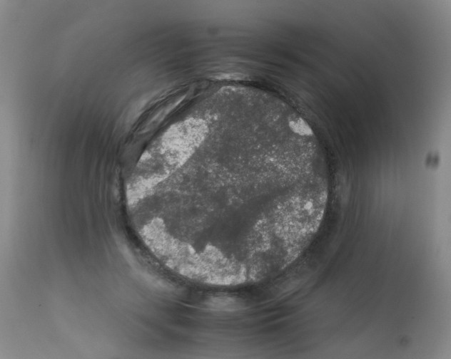 X0000113070547200910091210
