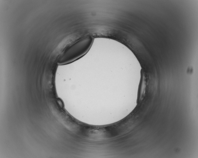 X0000113070548200910091210