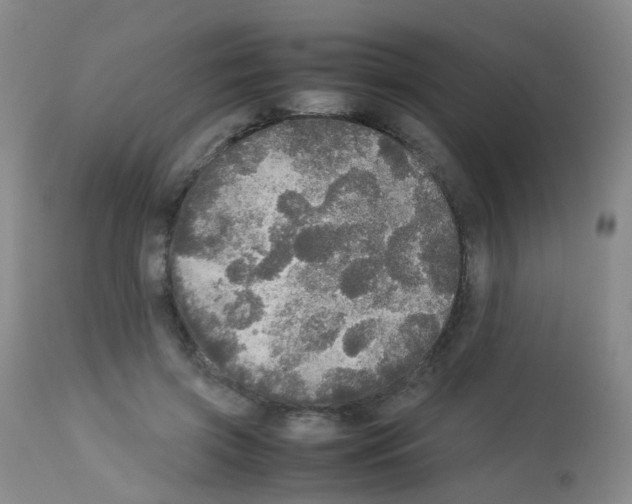 X0000113070549200910091211