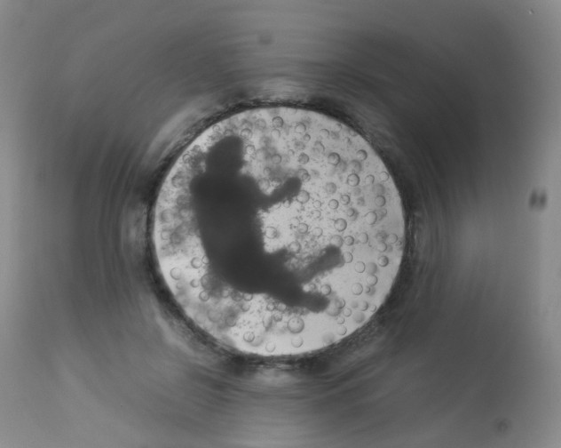 X0000113070550200910091211