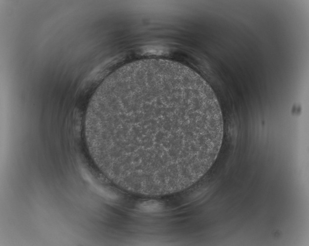 X0000113070551200910091211