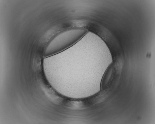 X0000113070552200910091211