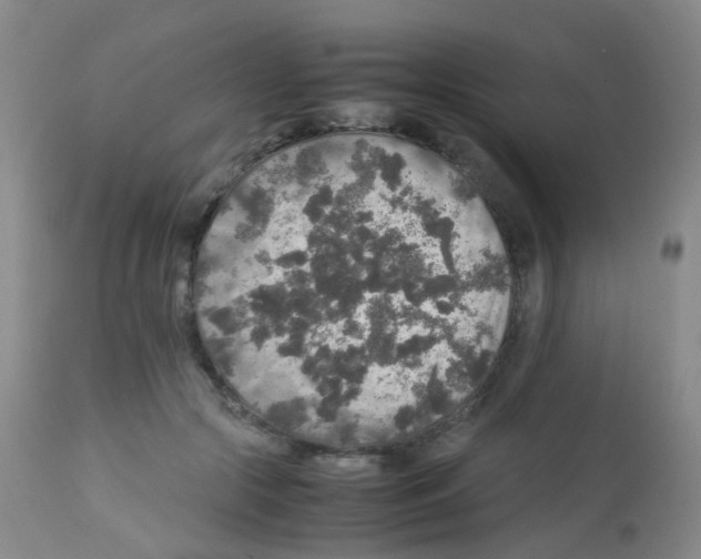 X0000113070553200910091211