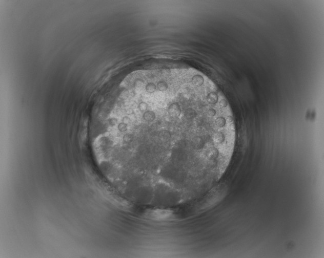 X0000113070554200910091211