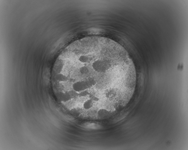 X0000113070557200910091211