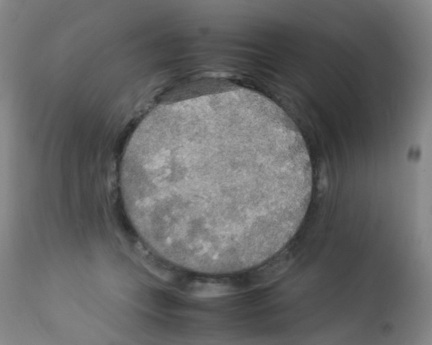 X0000113070559200910091211