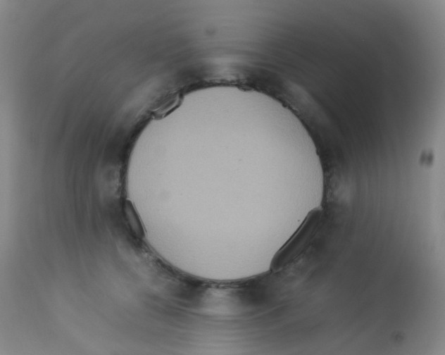 X0000113070560200910091211