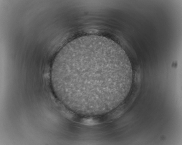 X0000113070561200910091211