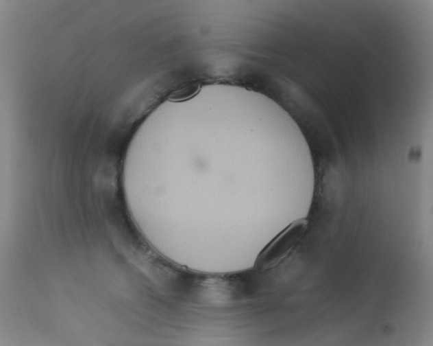 X0000113070562200910091211