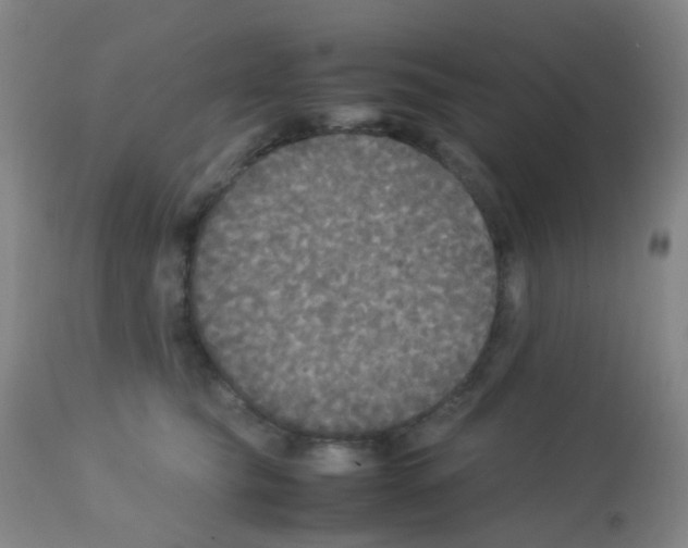 X0000113070565200910091211