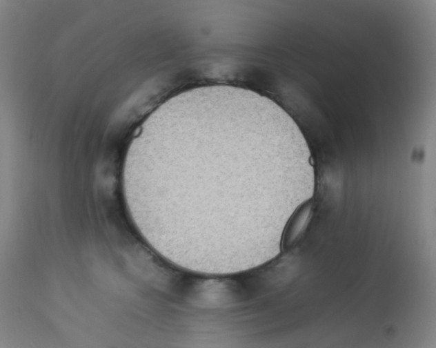 X0000113070566200910091211