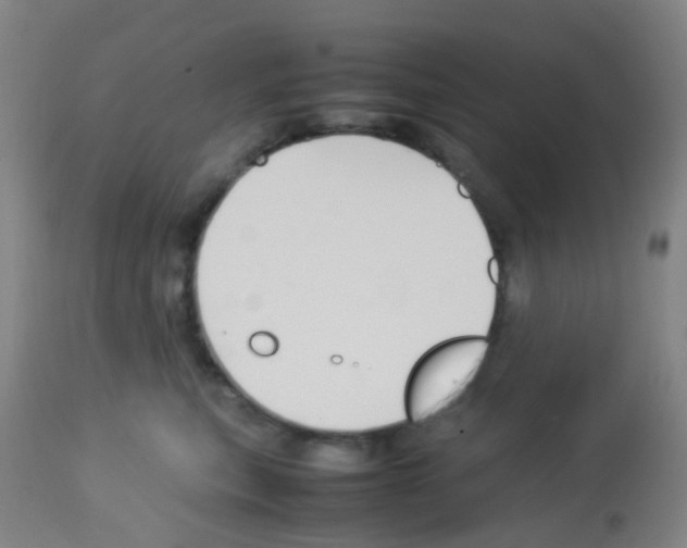 X0000113070567200910091211
