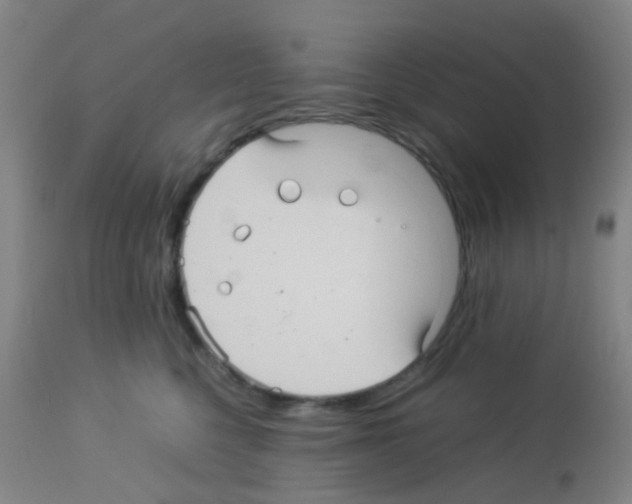 X0000113070568200910091211