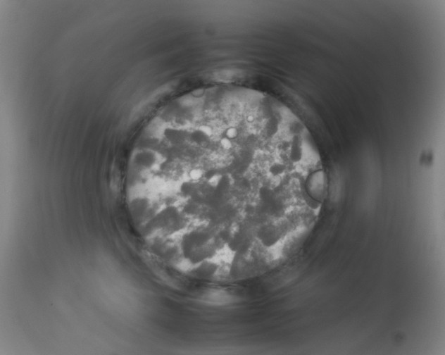X0000113070569200910091211