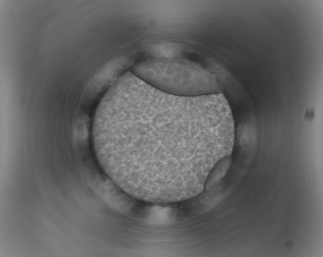X0000113070570200910091211