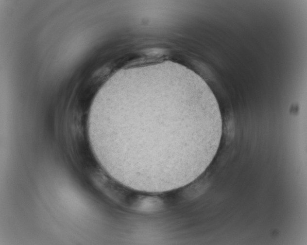X0000113070572200910091211