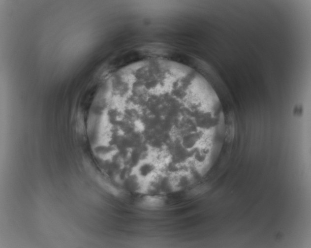 X0000113070573200910091211