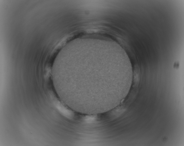 X0000113070574200910091211