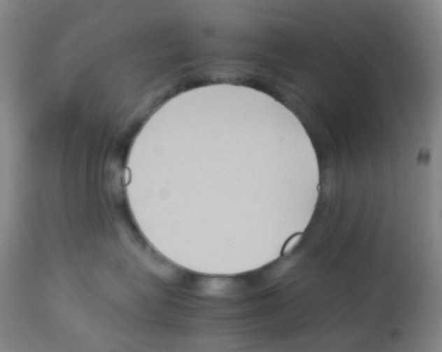 X0000113070575200910091211