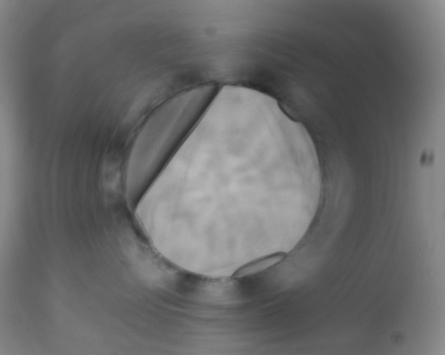 X0000113070576200910091211