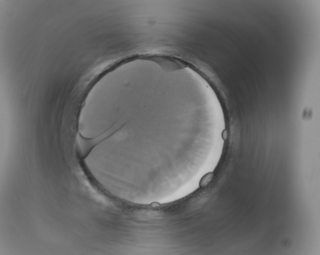 X0000113070577200910091210