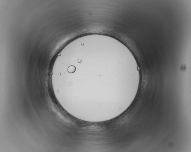 X0000113070578200910091210